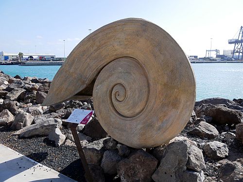 Fuerteventura