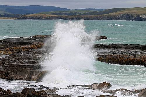 Catlins